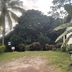 Outdoors view