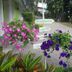 Outdoors view