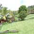 Outdoors view