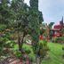Outdoors view