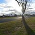 Outdoors view