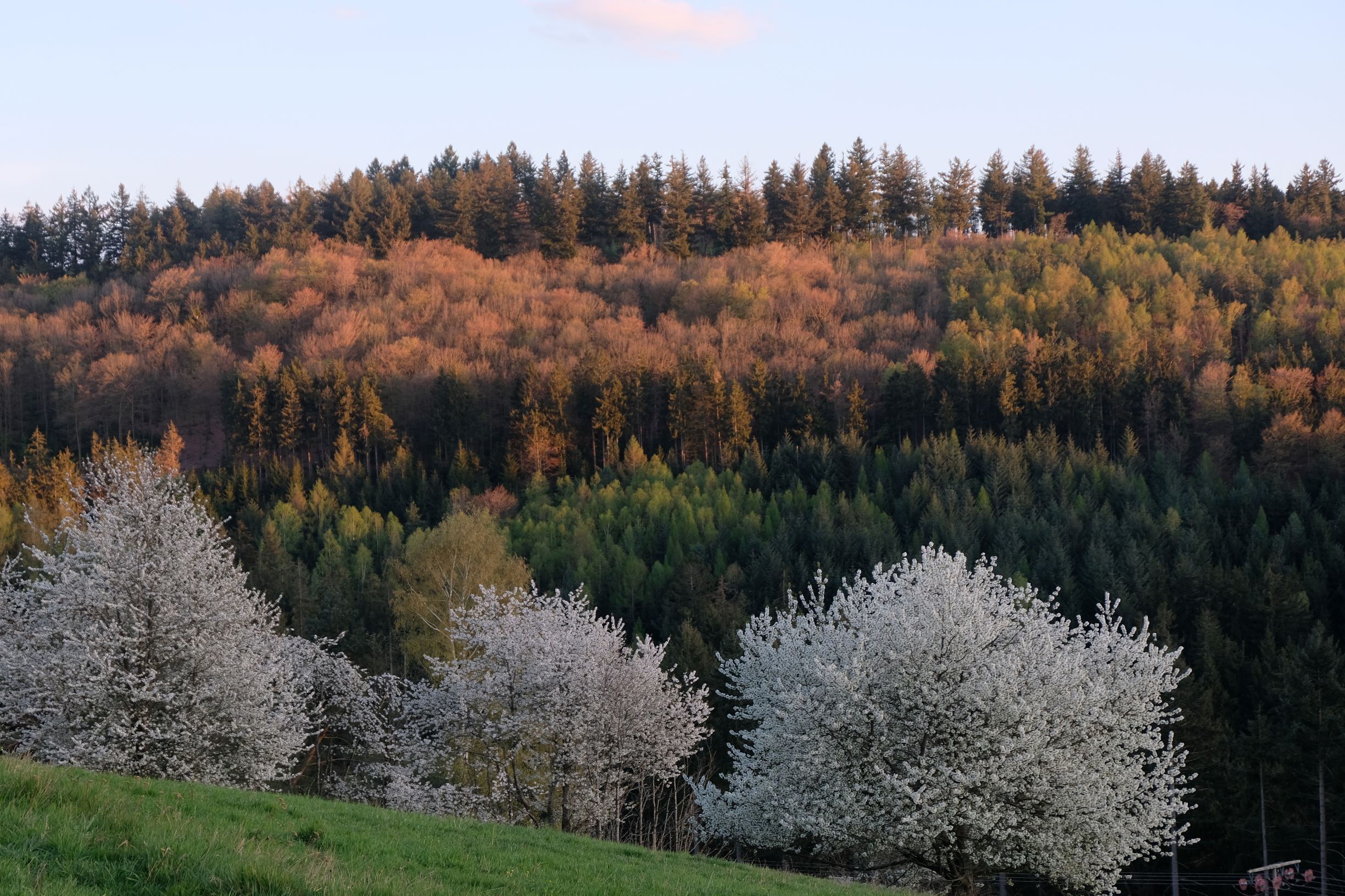 Outdoors view