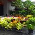 Outdoors view