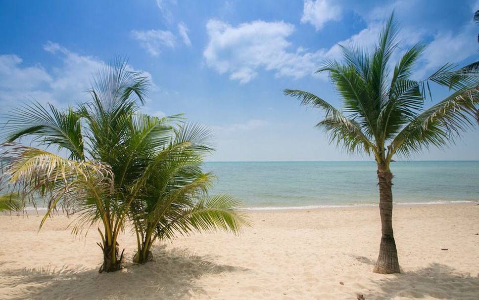 Beach Photo