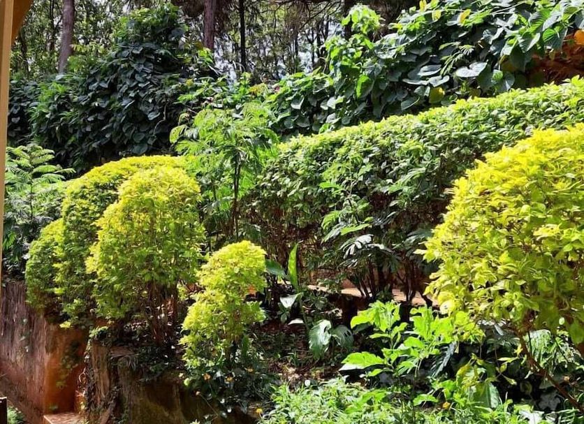 Outdoors view Photo