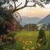 Outdoors view