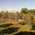 Outdoors view