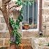 Outdoors view