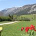 Outdoors view
