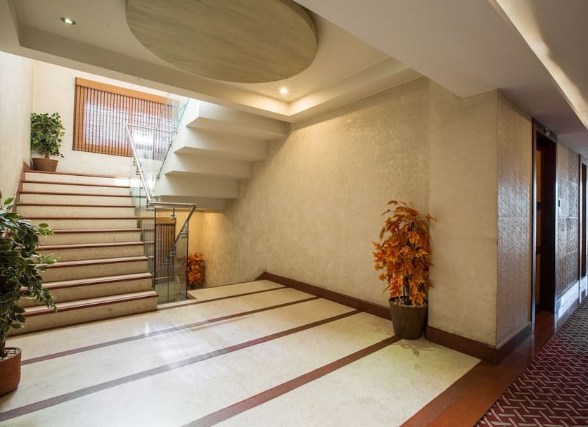 Stairs Photo