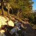 Outdoors view