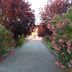 Outdoors view