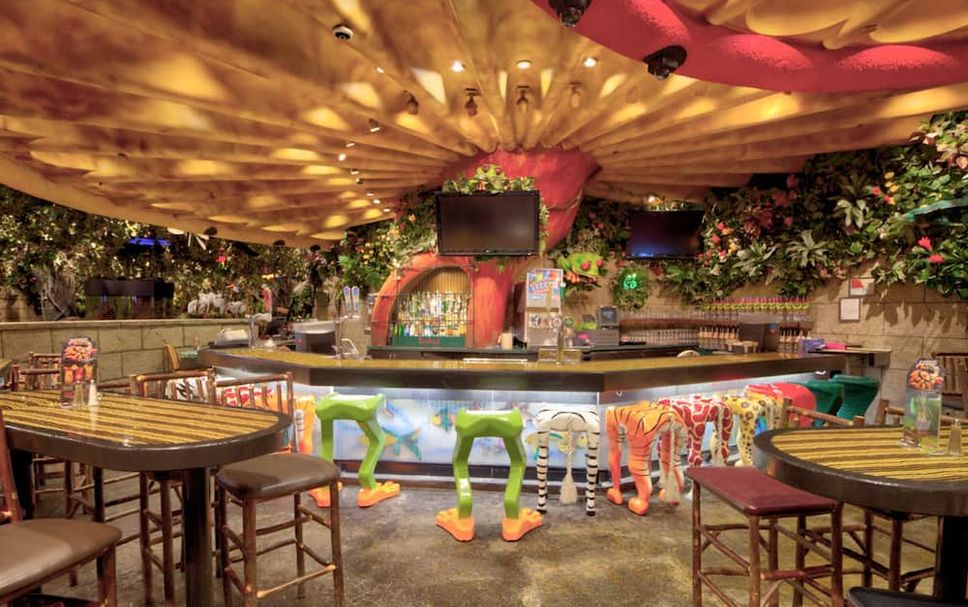 Bar Photo