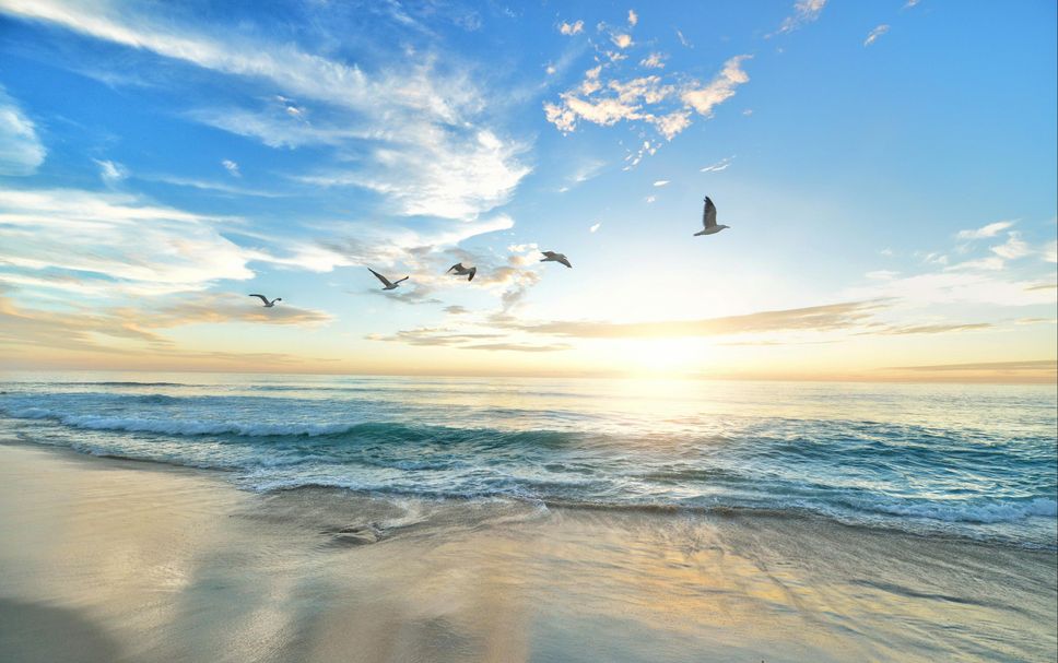 Beach Photo