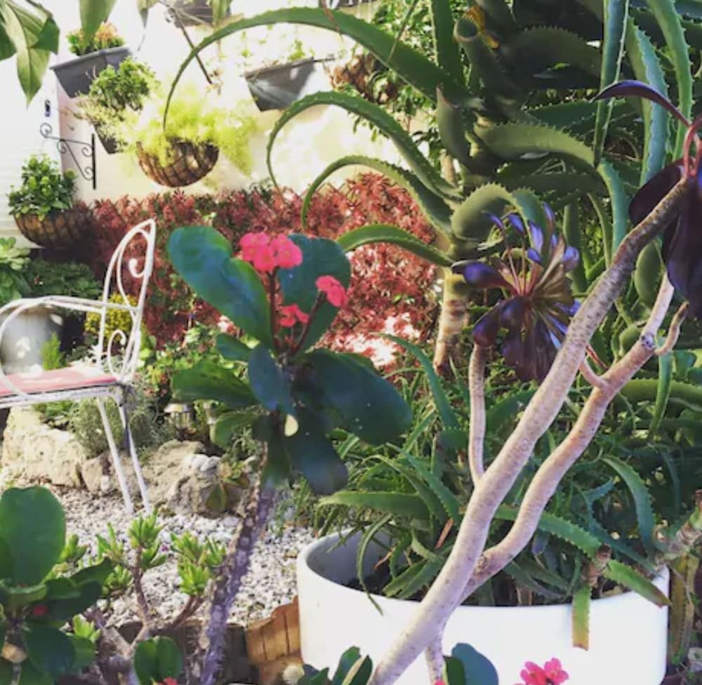 Outdoors view