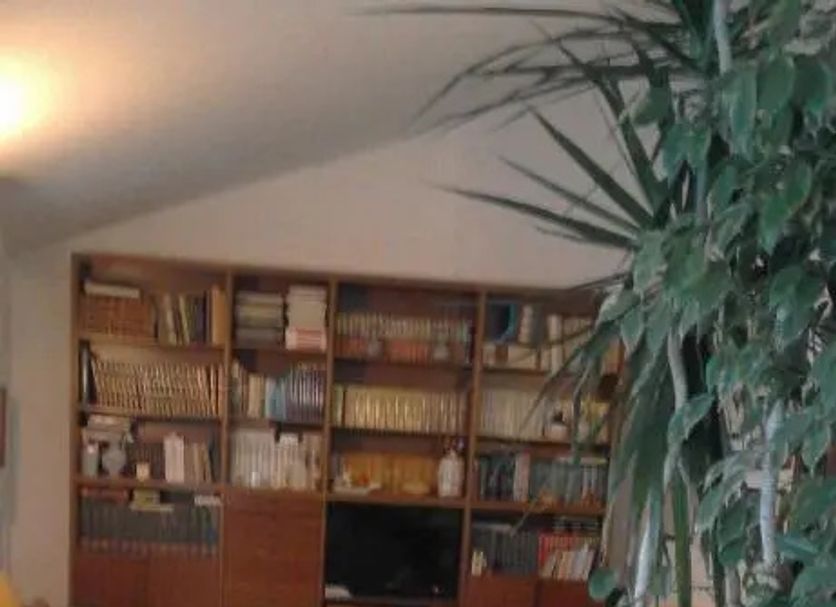 Other Photo
