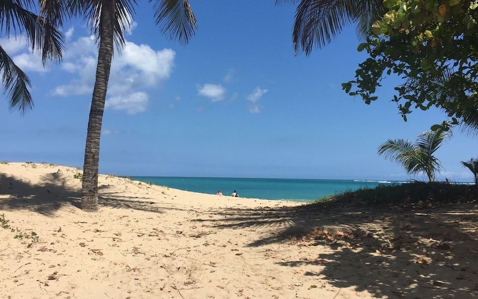 Beach Photo