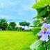 Outdoors view