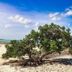 Outdoors view