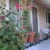 Outdoors view