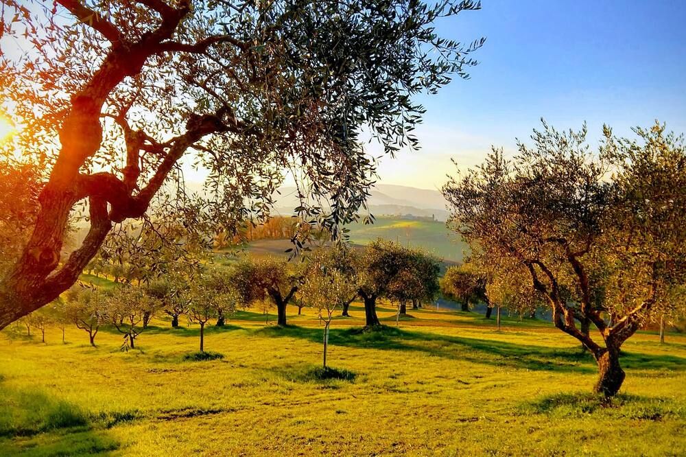 Outdoors view