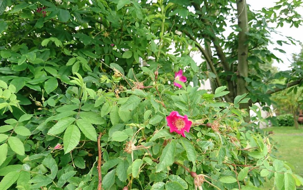 Other Photo