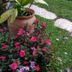 Outdoors view