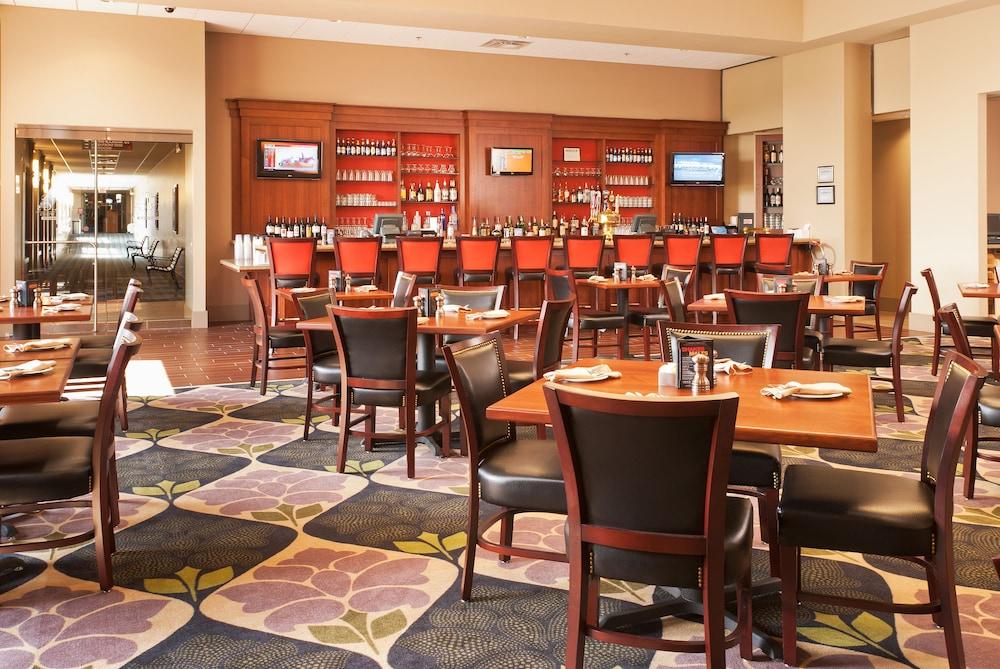 Elementals slot play blackjack win real money by the Microgaming comment play on line at no cost!