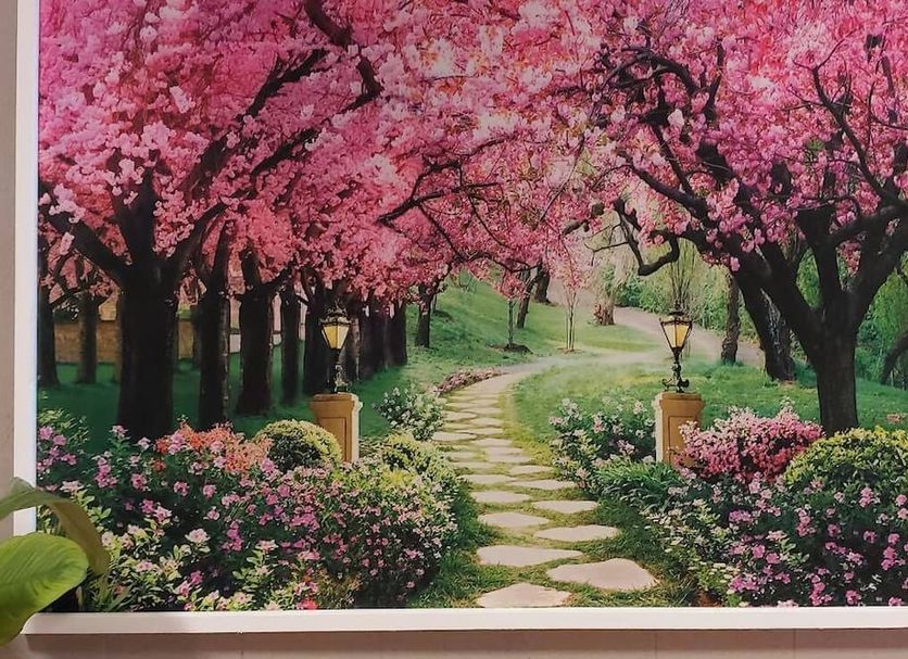Outdoors view Photo