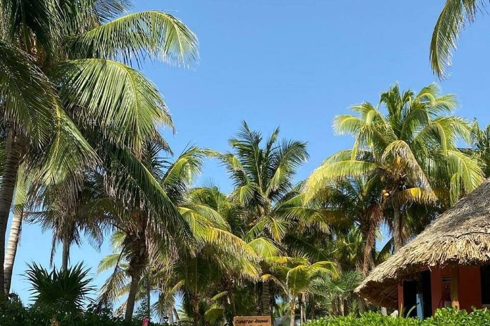 Outdoors view