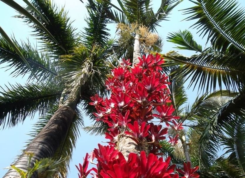 Outdoors view Photo