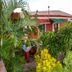 Outdoors view