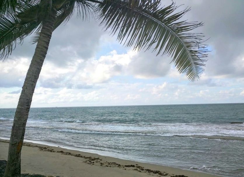 Beach Photo