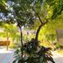 Outdoors view