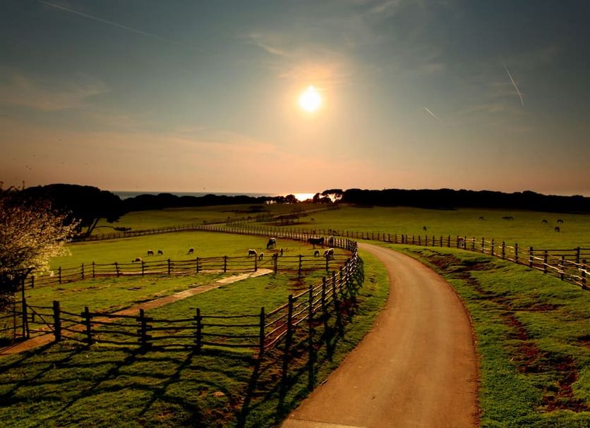 Outdoors view Photo