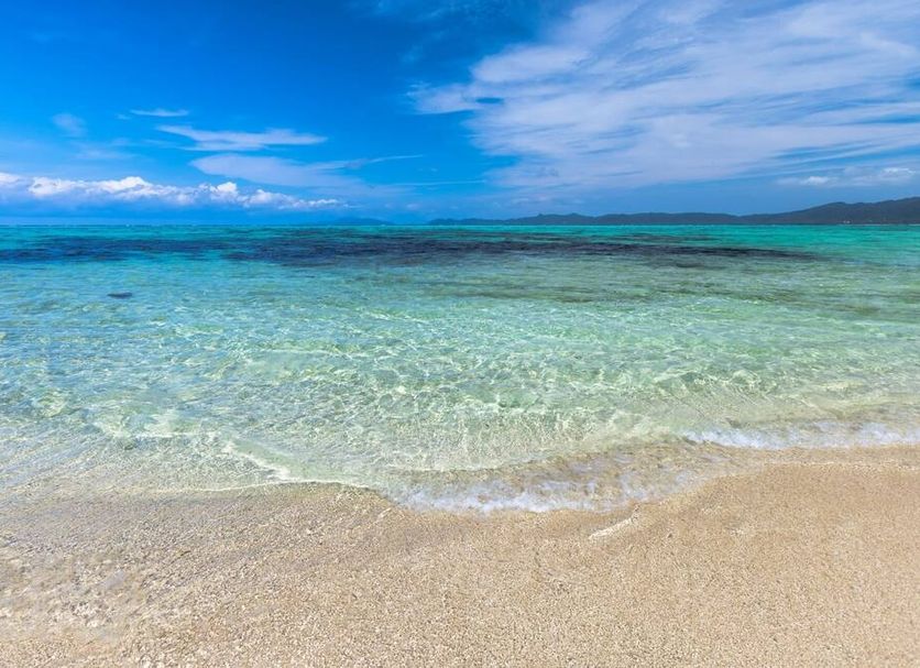 Beach Photo