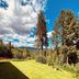 Outdoors view