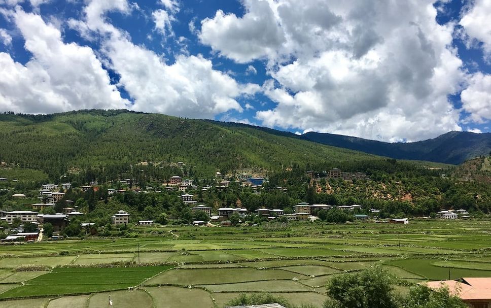 Outdoors view Photo