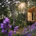 Outdoors view