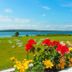 Outdoors view