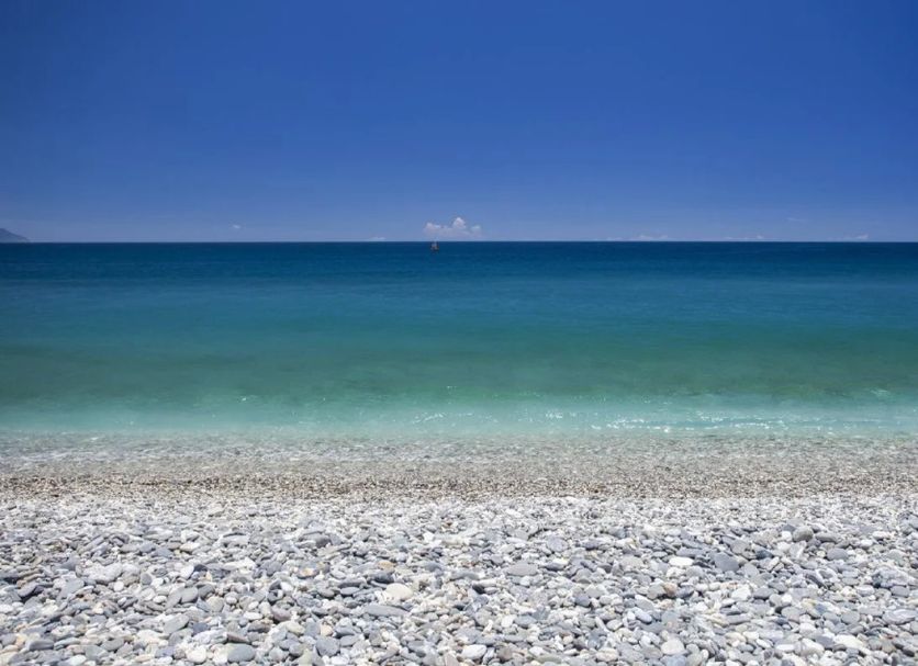 Beach Photo