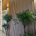 Outdoors view