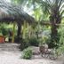 Outdoors view