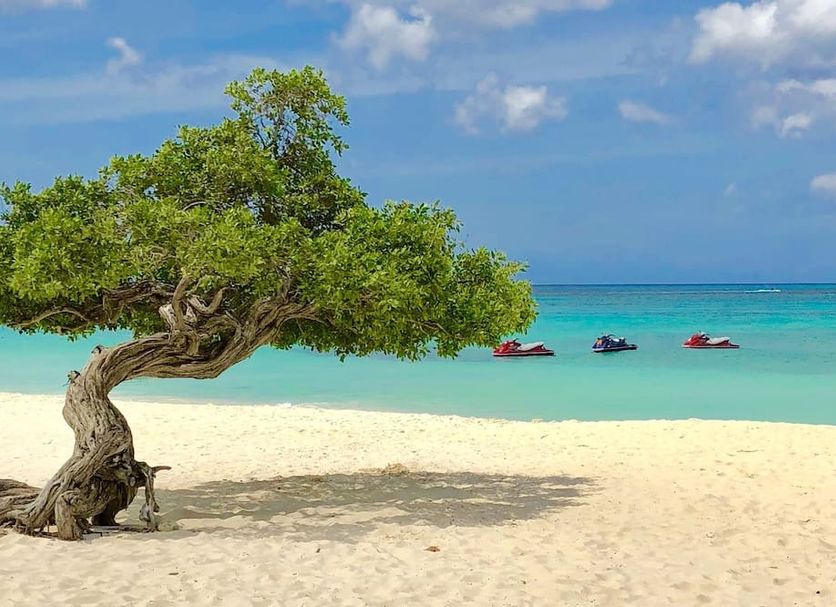 Beach Photo