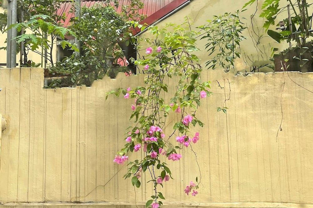 Outdoors view