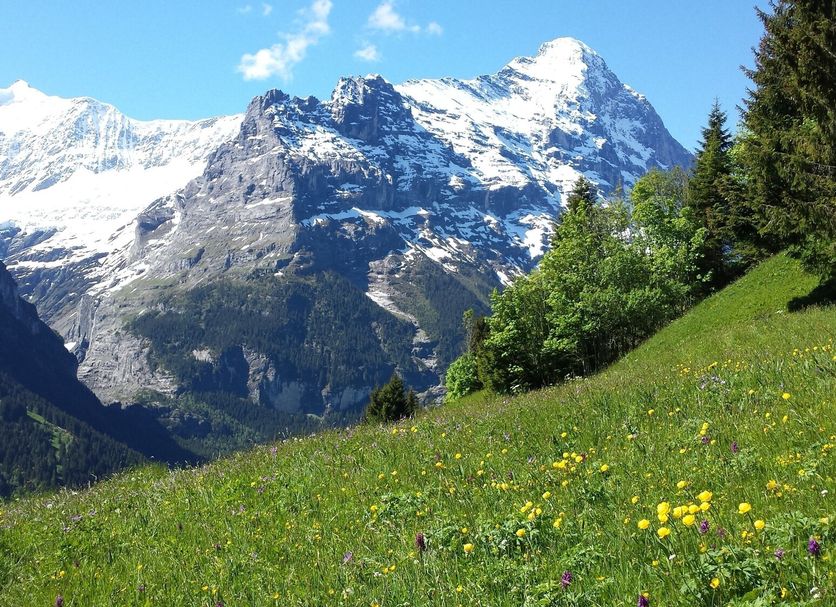 Outdoors view Photo