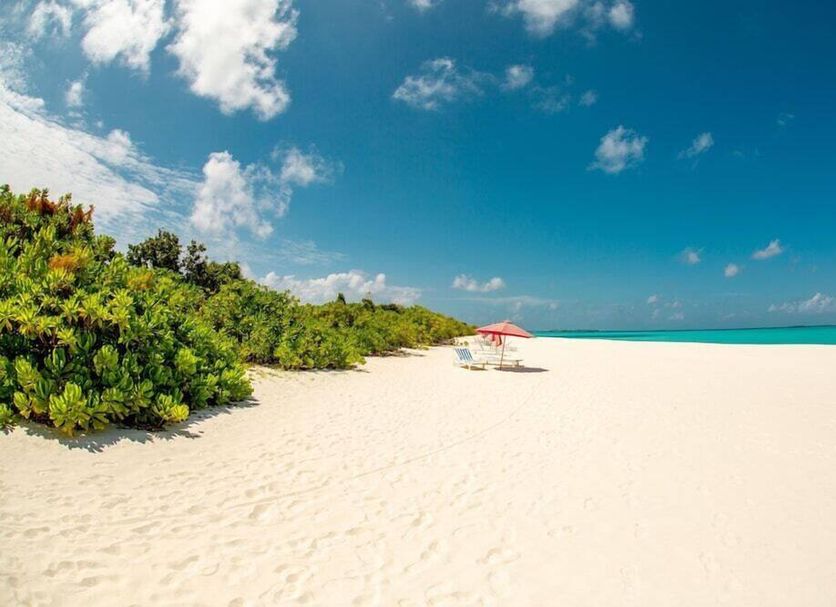 Beach Photo