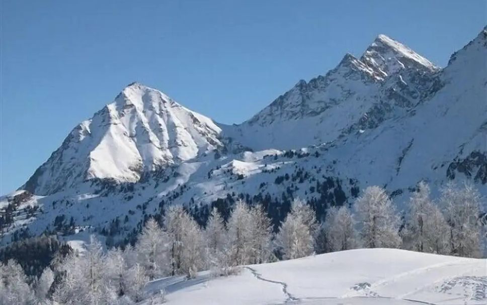 Other Photo