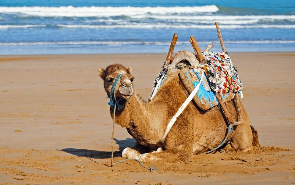 Beach Photo