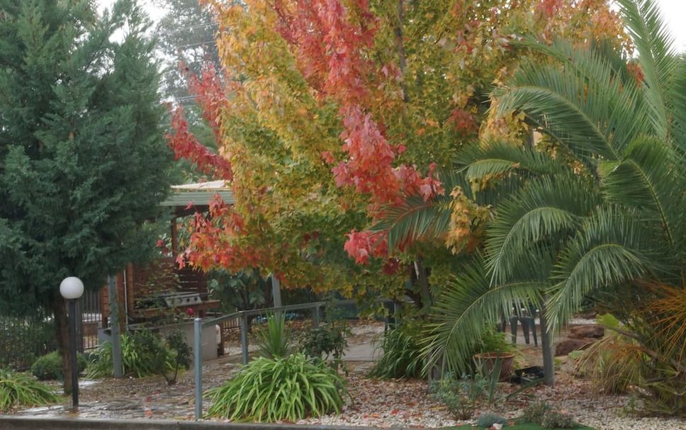 Outdoors view Photo